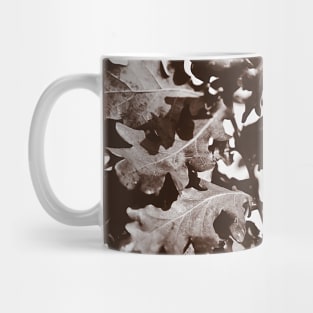 ‘Oak Leaf Cluster’ - a sepia-treated image Mug